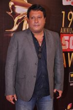 at Screen Awards red carpet in Mumbai on 12th Jan 2013 (401).JPG